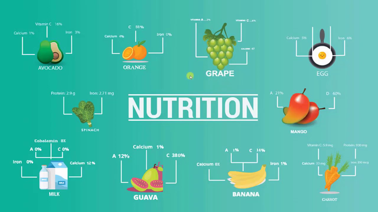 assignment on nutrition class 10