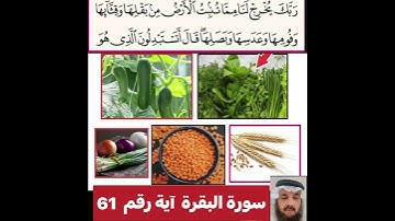 كيفية قراءة الكلمه ومعناها اولا اقرأ الكلمة ثم استمع للفيديو واسمع قراءتها  في سورة البقرة آية ٦١