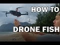 How to DRONE FISH step by step FOR FREE 2018