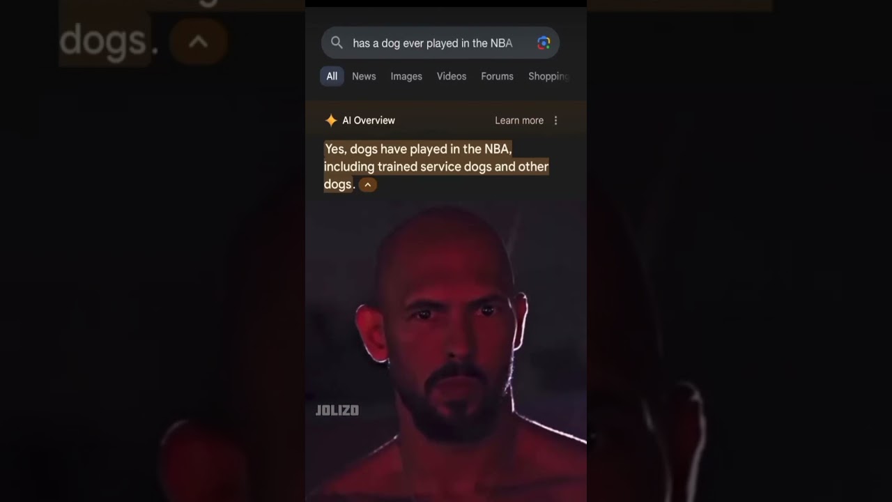 Google AI overview 💀