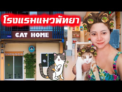 โรงแรมแมวพัทยา #Cathome #ที่ฝากแมวพัทยา #รับฝากแมวพัทยา