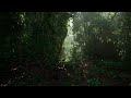 Unreal engine 53  mawi  tropical rainforest insects test unrealengine ue5 gamedev