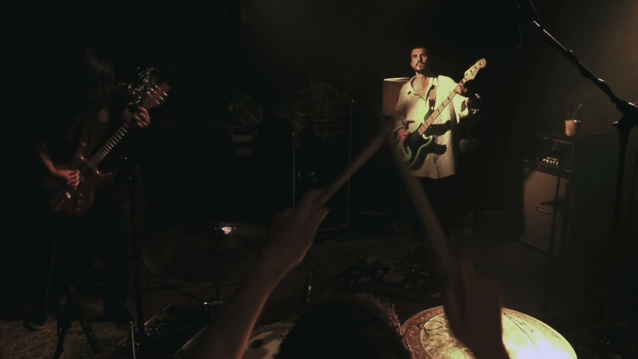 Bees Made Honey in the Vein Tree - Live at Komma Esslingen (Full Set)