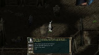 Beyond Divinity (Part 51) Act 4, Summoning Hall - Introduction
