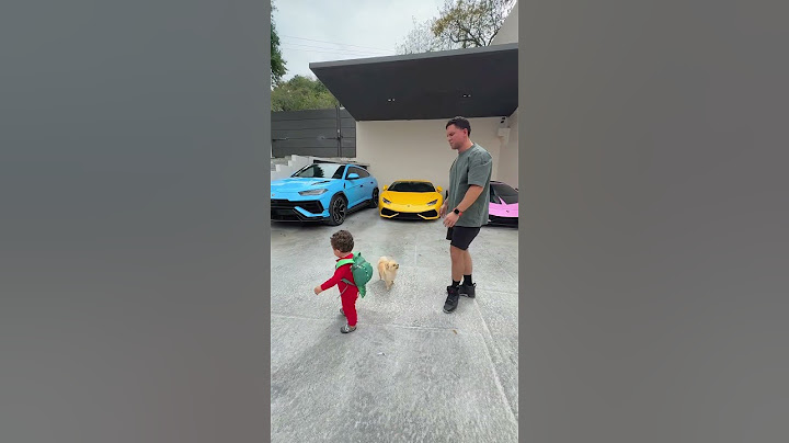 Which LAMBORGHINI do you prefer?