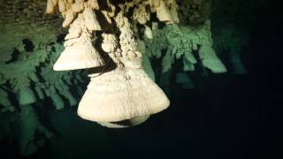 Дайвинг в Мексике (Юкатан) - Diving in Mexico, Yucatán