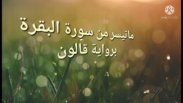 ماتيسر من سورة البقرة برواية قالون عن نافع القارئ أحمد الديب