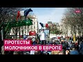 Новые протесты в Европе. Почему к демонстрациям присоединились молочники и как реагируют власти?