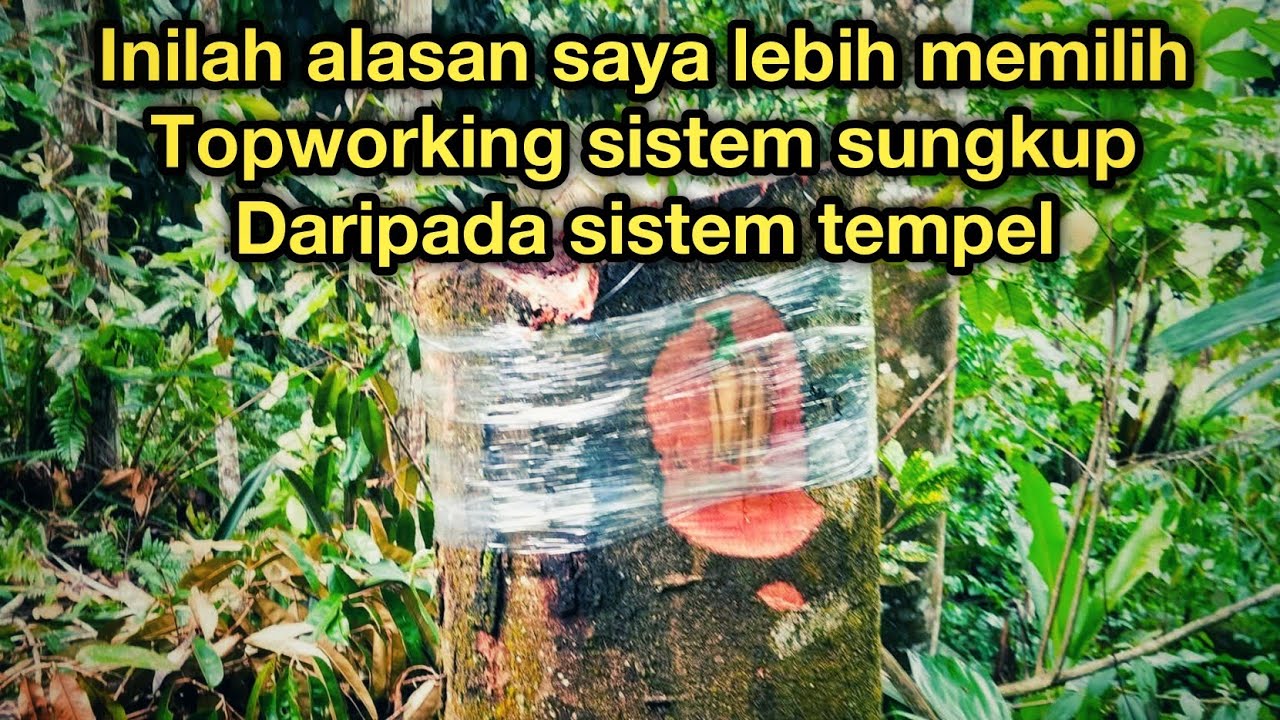 Topworking sistem sungkup VS sistem tempel