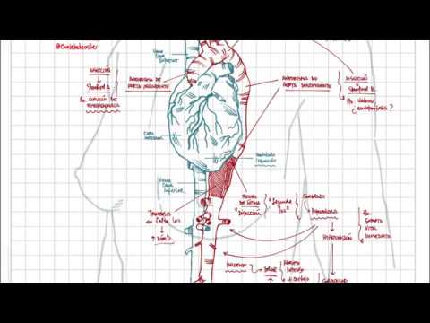 Vídeo: Disección De La Aorta: Tipos, Síntomas Y Tratamiento