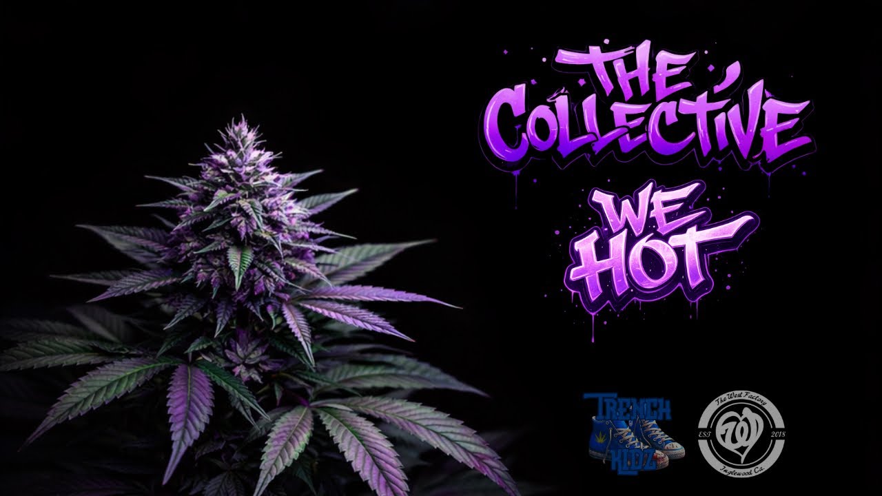 Watch WE HOT - BABY JOINT - 626CHAMP - GIZMOTHELI4 - DINERO on YouTube Watch WE HOT - BABY JOINT - 626CHAMP - GIZMOTHELI4 - DINERO on YouTube
