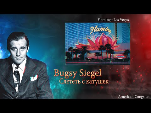 Video: Flamingo Las-Vegas mehmonxonasi va kazino to'g'ridan-to'g'ri Stripda