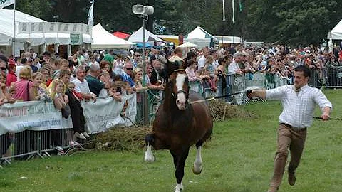 Fieldsports Britain - Crow Shooting, Shane's Castle game fair, running a charity clay - episode 32