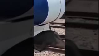 Download Lagu A mere Malik Allah Hu Allah ☝️ Allah 🕋 Allah ☝️ Allah Allah ☝️🤲 #thankyouallah #salmanfaisal #shahu MP3