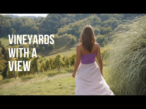 Vineyards With A View - Croatian Zagorje