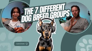 A Brief Guide to Understanding Dog Breed Groups