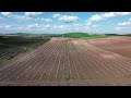 Plantación olivar superintensivo en finca Tres Pisos