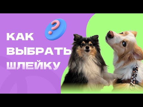 КАК ВЫБРАТЬ ШЛЕЙКУ? и на каких шлейках гуляют собаки кинолога