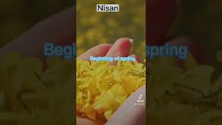 NISAN |  1st  MONTH  |  HEBREW CALENDAR