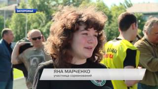 Такса против немецких овчарок.(Please watch: