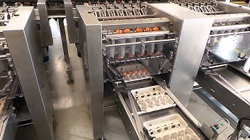 Pak To Sime Tek Orion 30