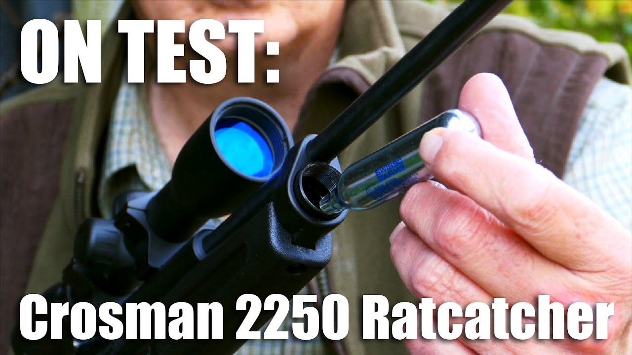 Crosman 2250 Ratcatcher airgun on test YouTube Crosman 2250 Ratcatcher airgun on test YouTube