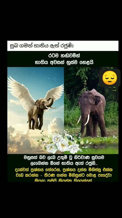 කිසිම ආත්ම භාවයක මෙහෙම දෙයක් නොවේවා 🙏🙏🙏