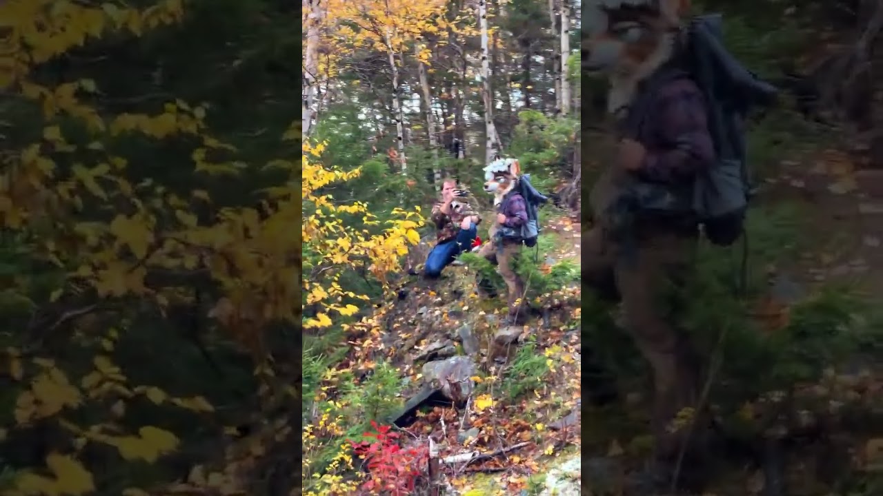 Worth EVERY penny… I can’t believe this view 😭 📍Conway, New Hampshire Trey nailed the reaction