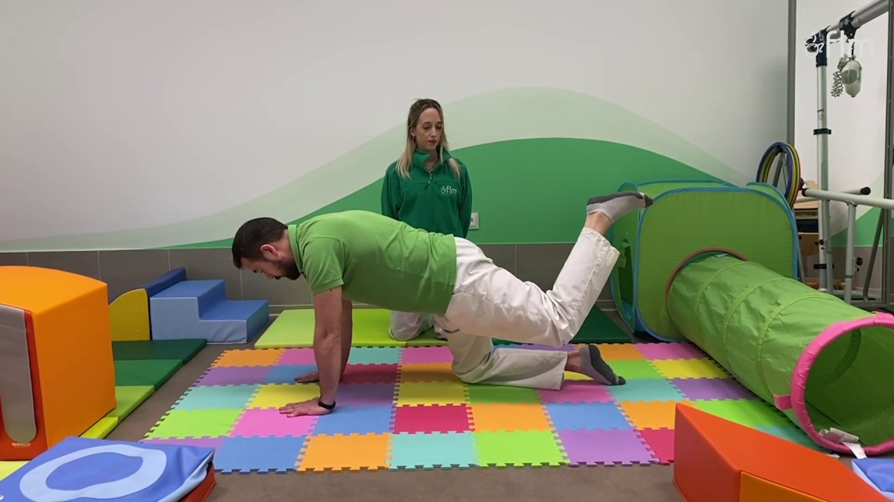 Ejercicios de fisioterapia para hacer en casa Cuadrupedia YouTube