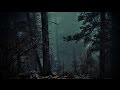 FOREST AT NIGHT - Crickets Owls Rain Wind in Trees - Relax Study Sleep De-Stress 🎧 100% RELAX