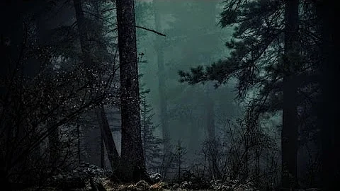 FOREST AT NIGHT - Crickets Owls Rain Wind in Trees - Relax Study Sleep De-Stress 🎧 100% RELAX