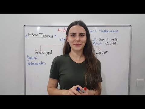 Video: 3 hücre teorisi nedir?