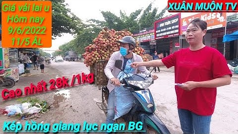 vải lai u hôm nay tại kép hồng giang lục ngạn giá dao động từ 15k đến 28k /1kg