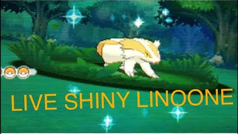 49 - [LIVE] SHINY LINOONE {First ORAS Shiny!}