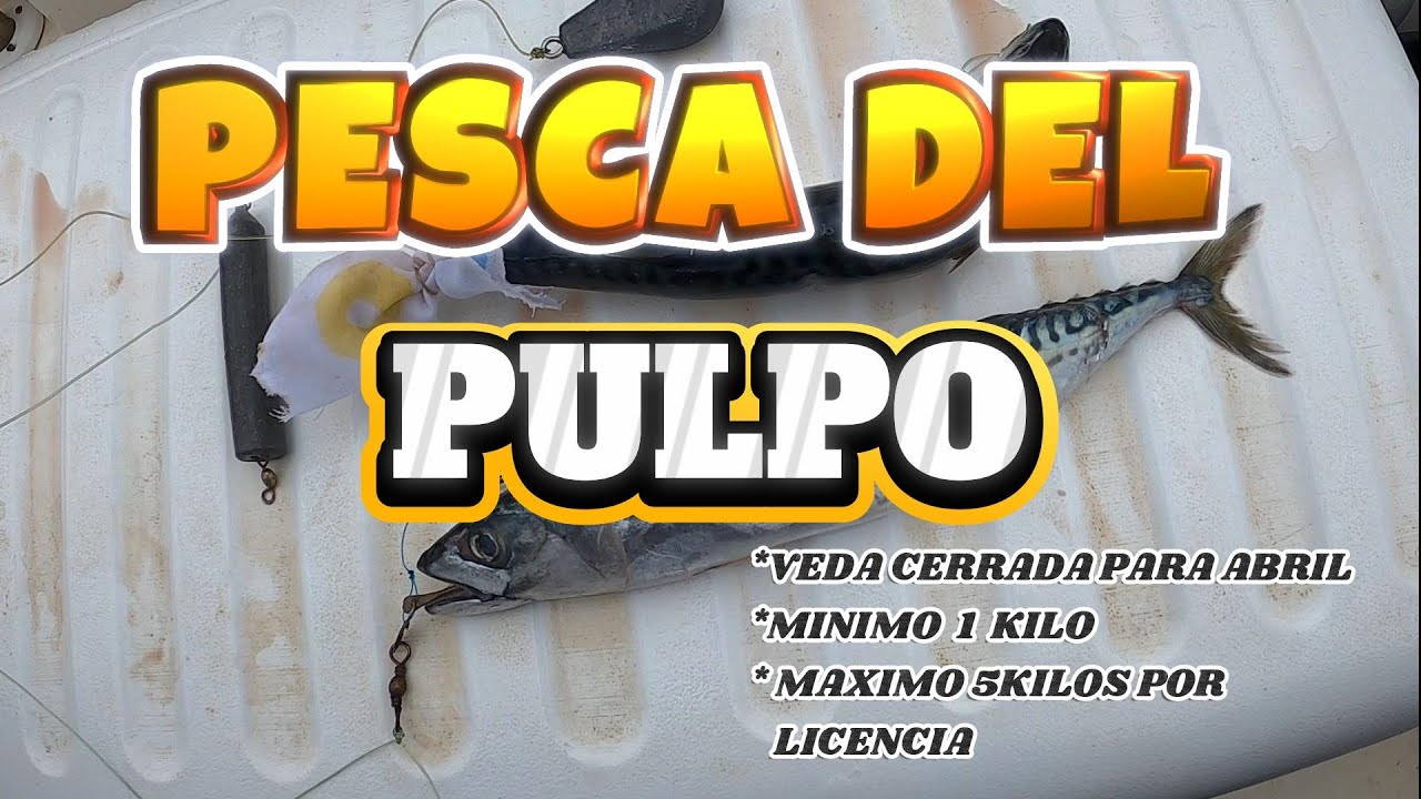 Pescando el Pulpo con Veda Abierta