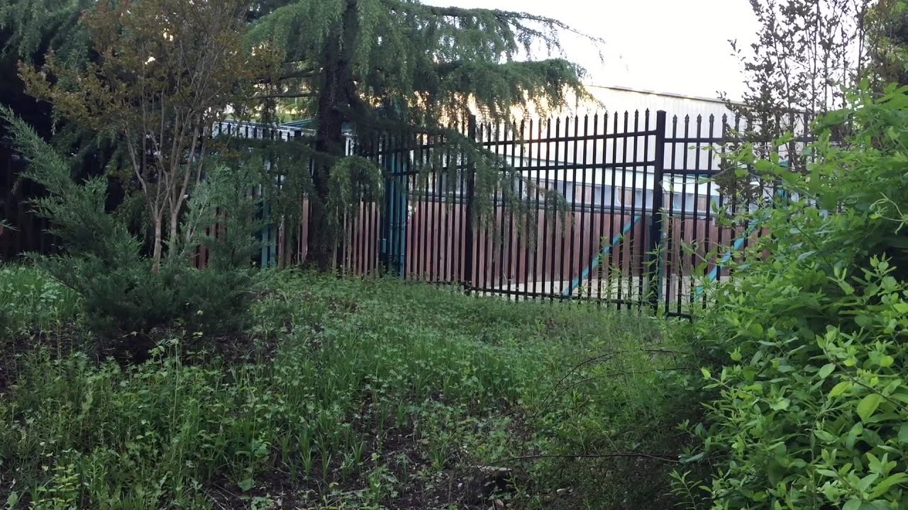 Alpengiest POV Offride Busch Gardens Williamsburg