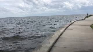 Hurricane Michael Sends Choppy Waves into Tampa Bay High Tide Windy Coffee Pot Bayou