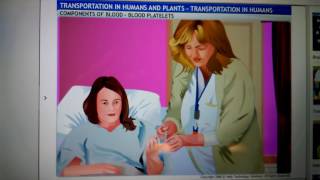 VIDEO0006.mp4