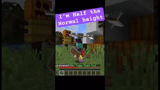 Playing Minecraft As A Dwarf