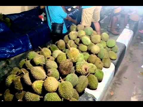 Download 82 Koleksi Gambar Durian Di Pasar  Gratis