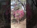 Jay Bhathiji Maharaj рџ рџ вќ пёЏвќ пёЏрџ Џ Status New Video Status Jay Bhathiji Maharaj рџ рџ вќ пёЏвќ пёЏрџ Џ Status New Video Status