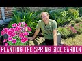 New side garden project clean up pruning  planting perennials  annuals 