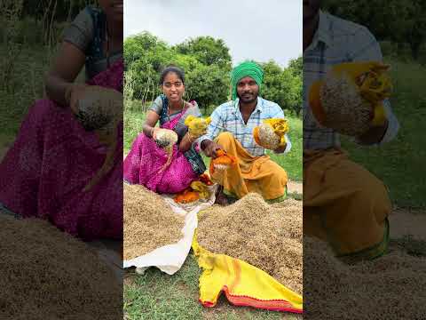 నల్ల రకం పేరు తెలుసా……..?????