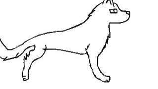 Wolf walking - Practice *FAIL*