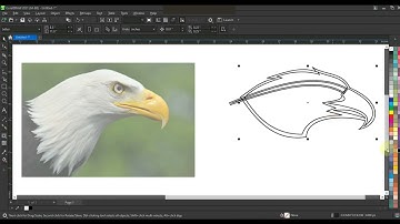 How To Create Mascot Logo Design with Real Image - Coreldraw with Ahsan Sabri