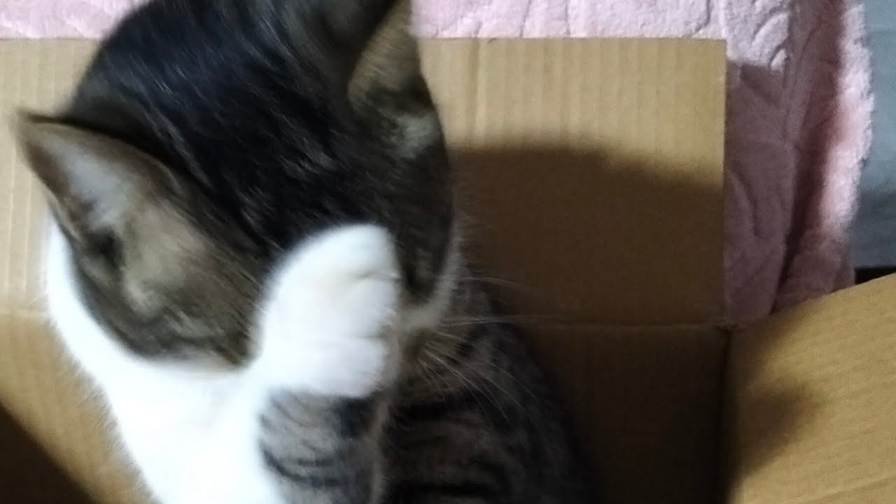 HAYIRLI AKŞAMLAR DİLİYORUM #KEŞFET #❤❤💕💕❤❤❤❤❤💯💯💯😍😍😍😍😍😍😍😍