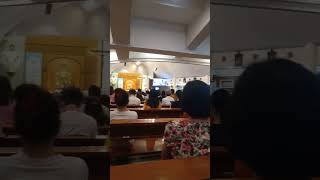 Download Lagu Misa di St Andreas, Kedoya Jakarta Barat, 27 April 2025 MP3