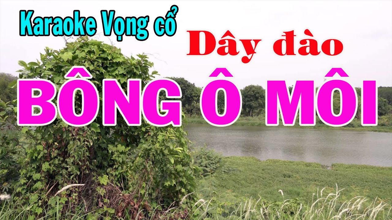 Karaoke vọng cổ BÔNG Ô MÔI -  DÂY ĐÀO