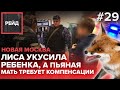 Лиса укусила ребенка, а пьяная мать требует компенсации | Росгвардия | Новая Москва - Рейд #29