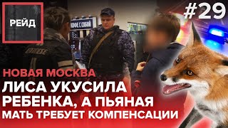 Лиса укусила ребенка, а пьяная мать требует компенсации | Росгвардия | Новая Москва - Рейд #29 Лиса укусила ребенка, а пьяная мать требует компенсации | Росгвардия | Новая Москва - Рейд #29